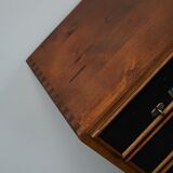 German industrial apothecary cabinet in oak and pine, mid-20th century