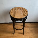 Canna bar stool