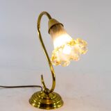 Murano glass lampshade table lampshade and brass base