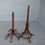 Baumann house parrot coat door