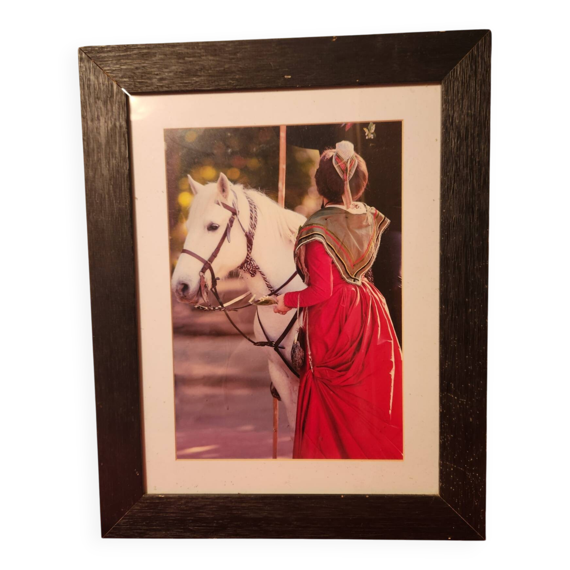 Arlesian horse photography May 1st Gilles Martin-Raget