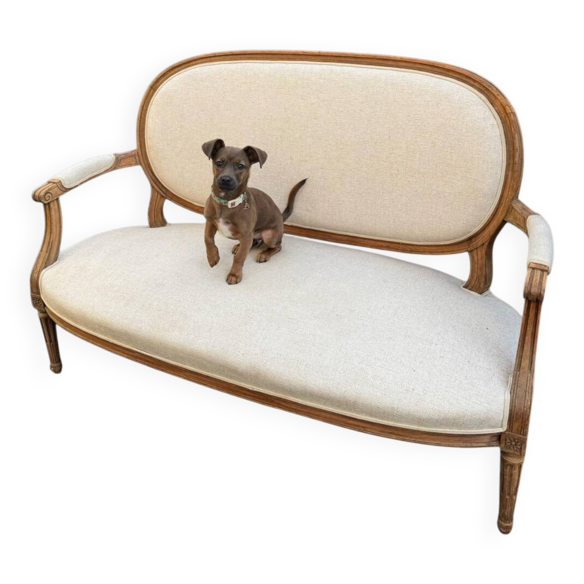 Louis XVI style bench, raw oak, ecru fabric, circa 1900s.