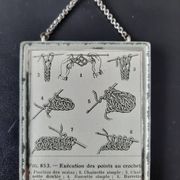 Antique illustration "Hook" inserted under a mirror. Cabinet of Curiosities.