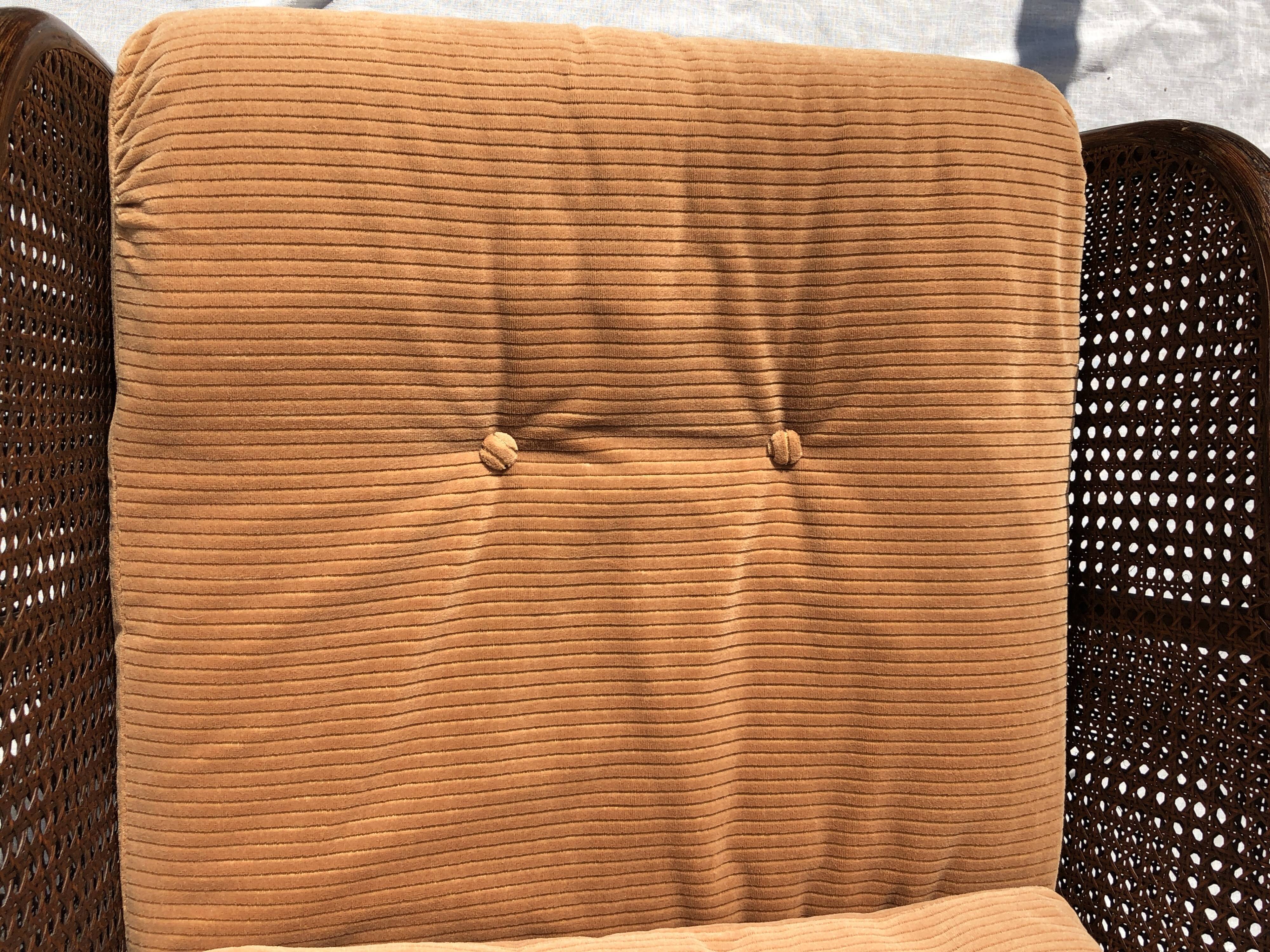 Rattan armchair and cane kok