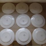 Flat plates Digoin Sarreguemines model Albe