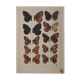 Small brown and orange butterflies, original signed watercolour, Roger METAYE.