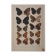Small brown and orange butterflies, original signed watercolour, Roger METAYE.