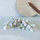 Bunch of onyx grapes