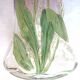 Legras enameled vase, multicolored pansies, colorless gradient purple glass