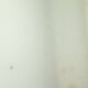 Antique Wooden Mirror Gold Leaf 19th Century Baroque Style 61cm