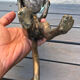 Brass butler cat after Giacometti