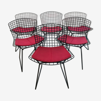 Suite de 6 chaises Knoll pour Bertoia