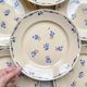 8 assiettes plates porcelaine vintage K&G Luneville "Flore" 1950s petites fleurs bleues