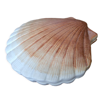 Scallop box