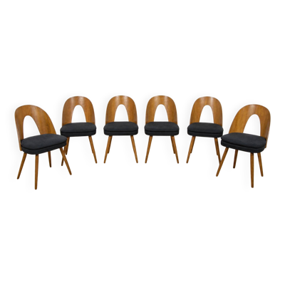 Chaises de salle à manger en chêne du milieu du siècle par Antonín Šuman pour Tatra Nábytok, Tchécoslovaquie, années 1960, ensemble de 6.