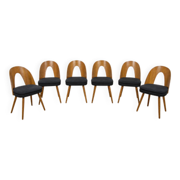 Mid-Century Oak Dining Chairs by Antonín Šuman for Tatra Nábytok, Czechoslovakia, 1960s, Set of 6