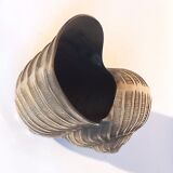 Champagne bucket shell shape Nautilus Giovanni Patrini brass Width 23.3 cm