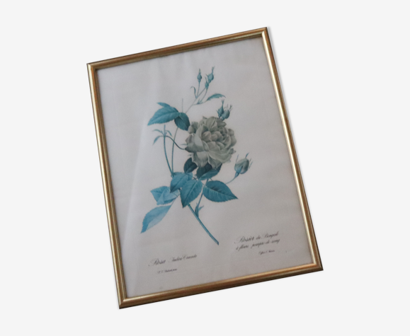Tableau rosier