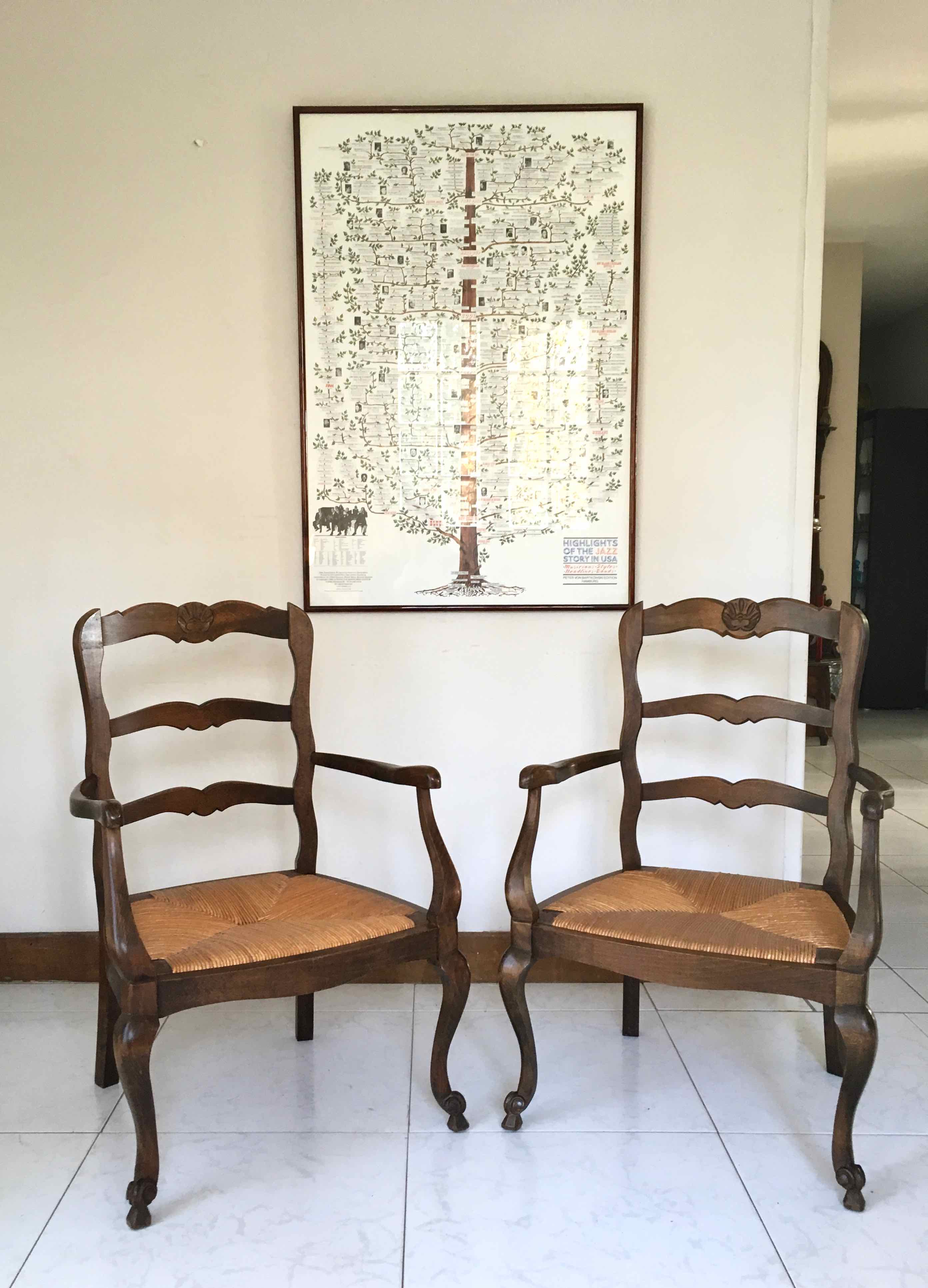 Pair of Provencal mulched armchairs Louis XV style