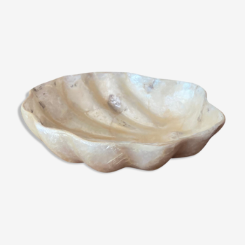 Mother-of-pearl shell pocket empty