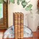 Paire de serre-livres en agate