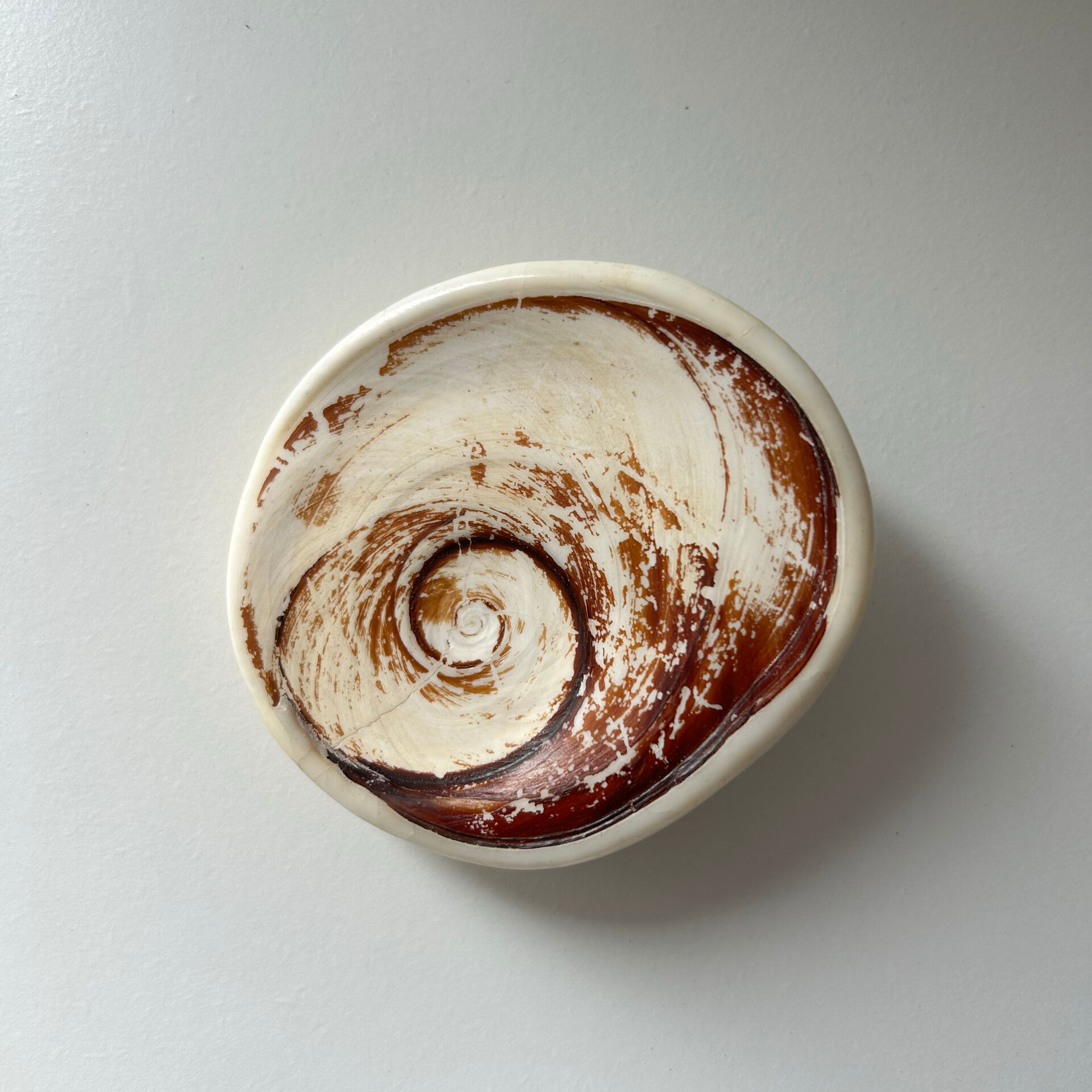 Fossilised shell