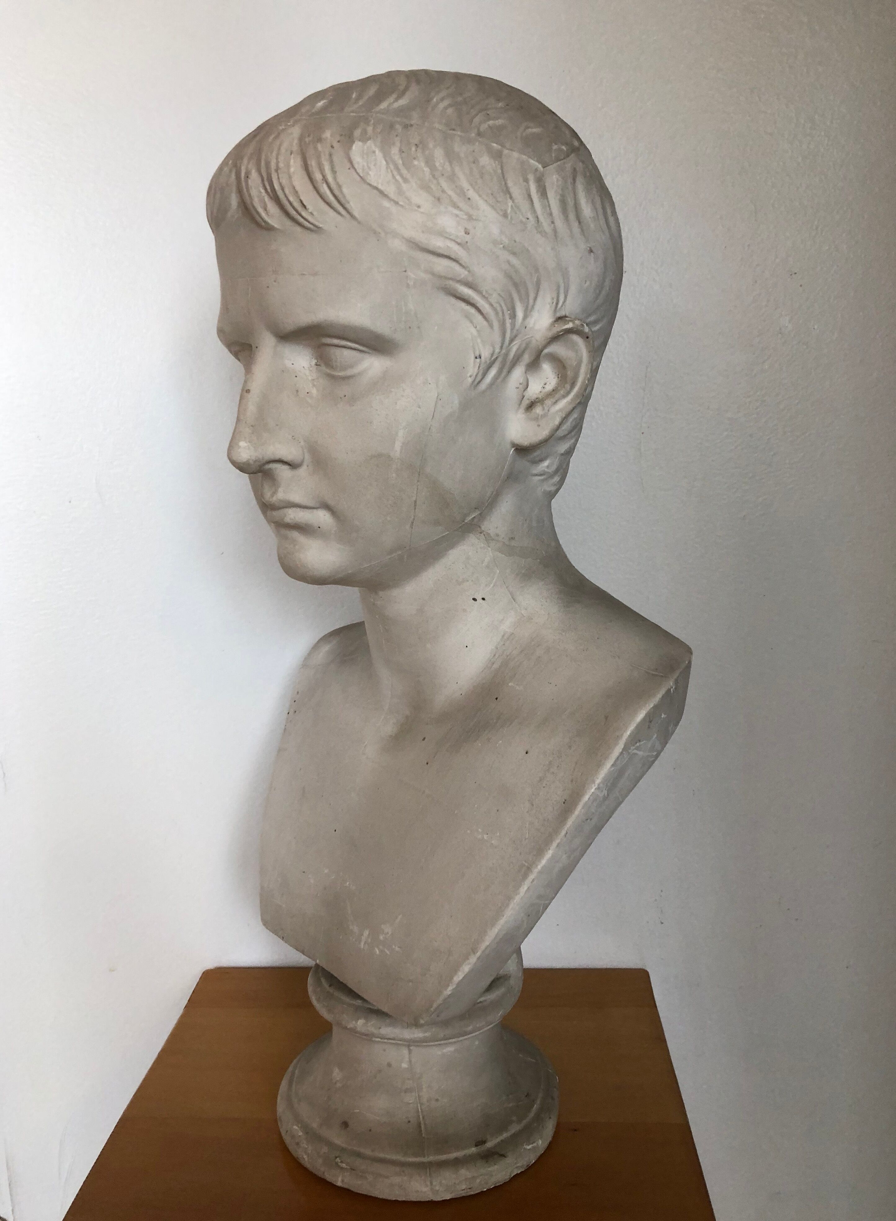 Bust of Bonaparte in plaster