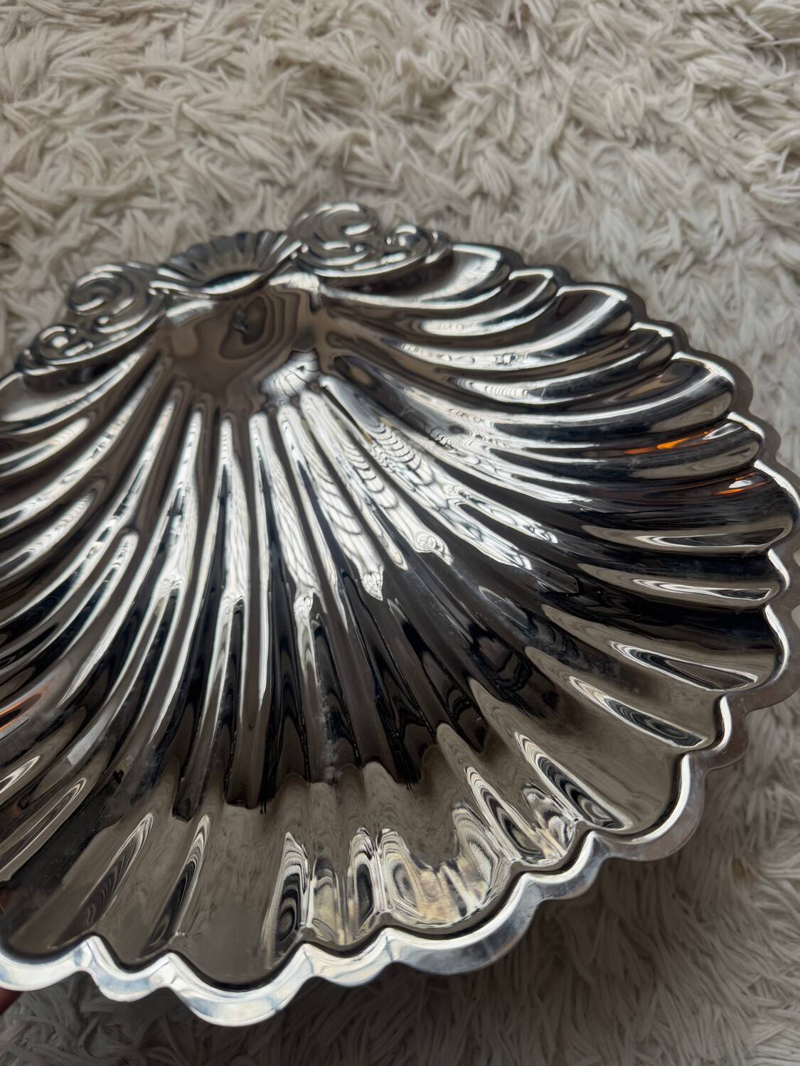 Large seashell-shaped trinket tray