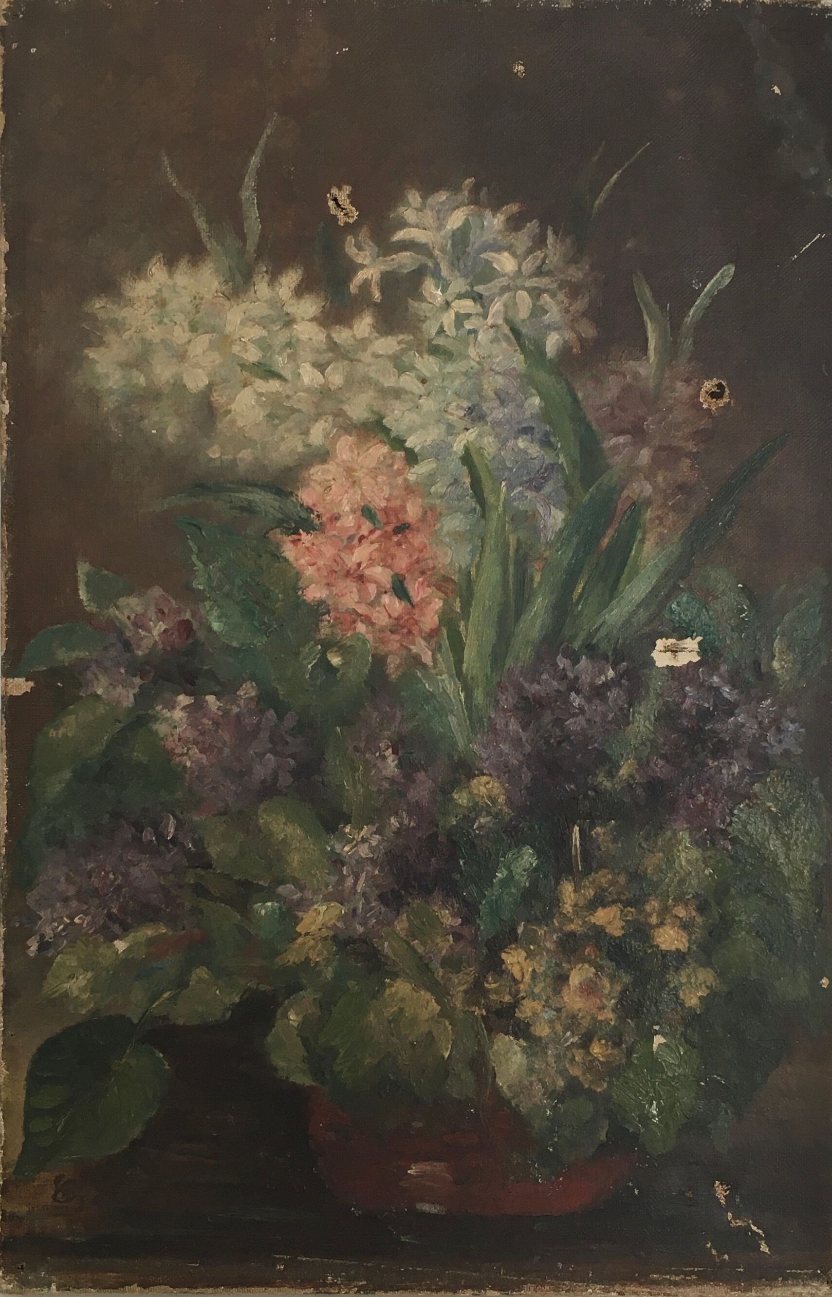 Ancient bouquet of hyacinths