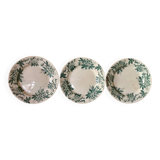 Ironstone "anemone" flat plates from Saint-Amand-les-Eaux