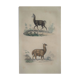 Ornithological Plate Buffon 1838 "Llama & Vicuña"