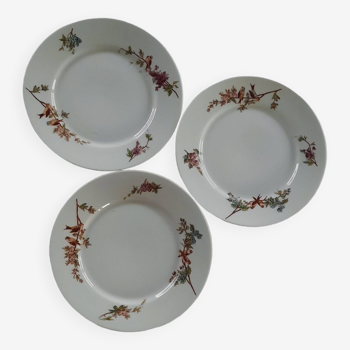 Set of 3 bird pattern porcelain plates
