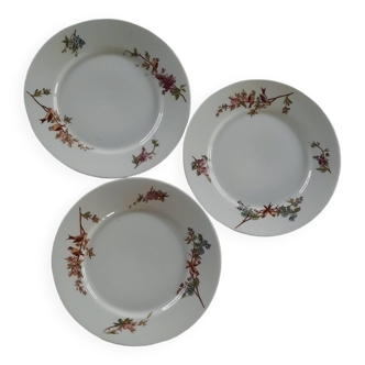 Set of 3 bird pattern porcelain plates