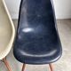 Set of 10 fibreglass & walnut DSW chairs, Charles & Ray Eames, Herman Miller, 60s-70s