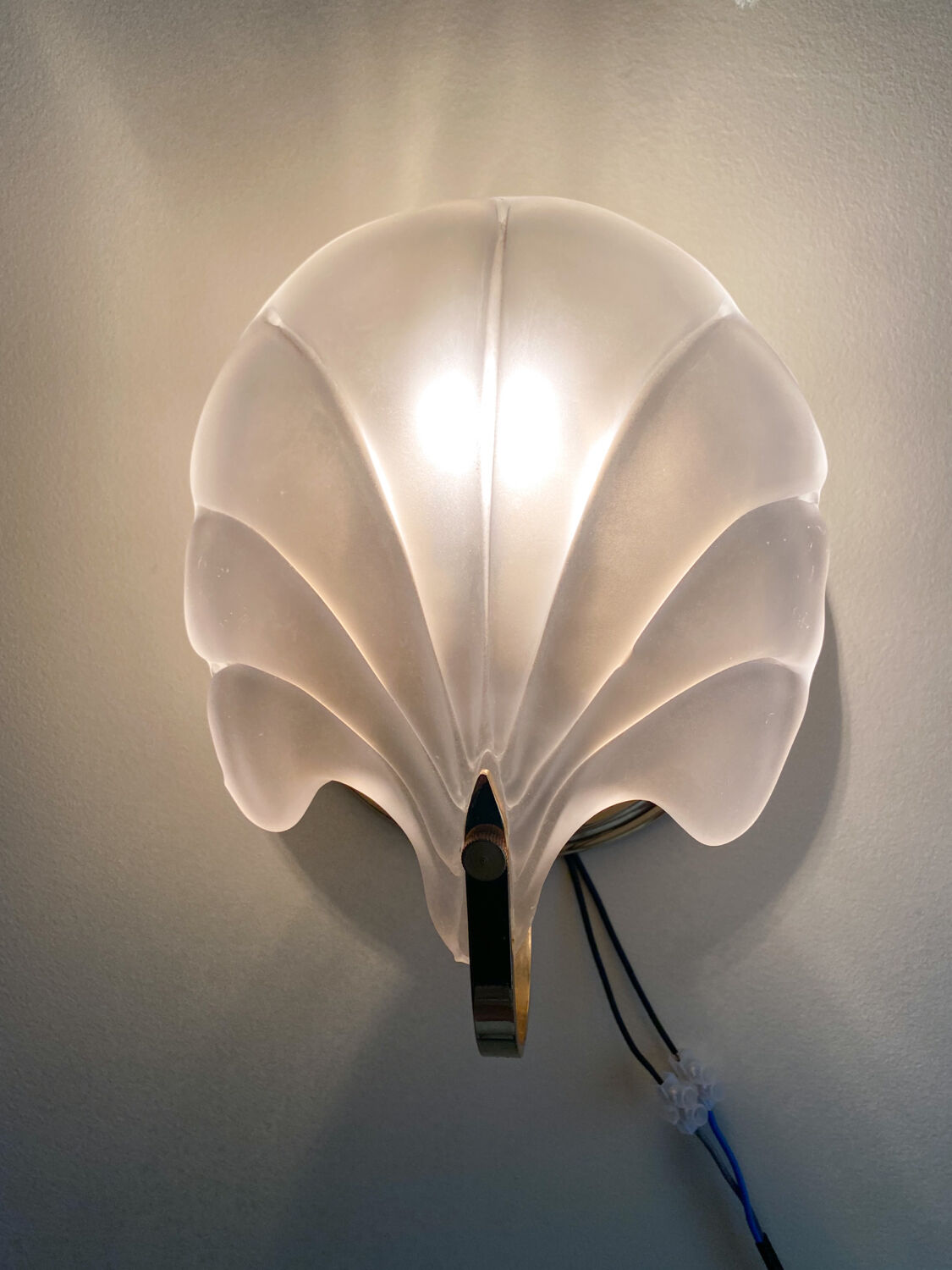 Shell sconces