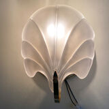 Shell sconces