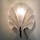 Shell sconces