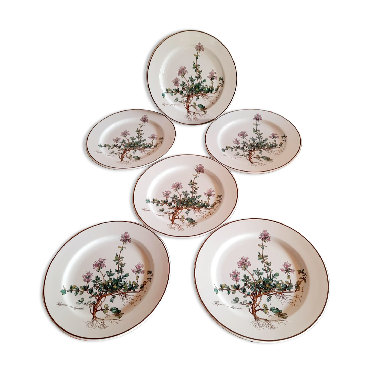 6 small plates - 20 cm - Botanica, Villeroy and Boch series