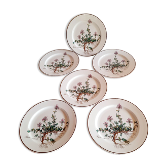 6 small plates - 20 cm - Botanica, Villeroy and Boch series