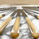 Series of horn knives
