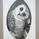 "Night bird" China ink on paper