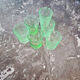 Set of 6 antique glasses in uraline – uranium glass – vintage
