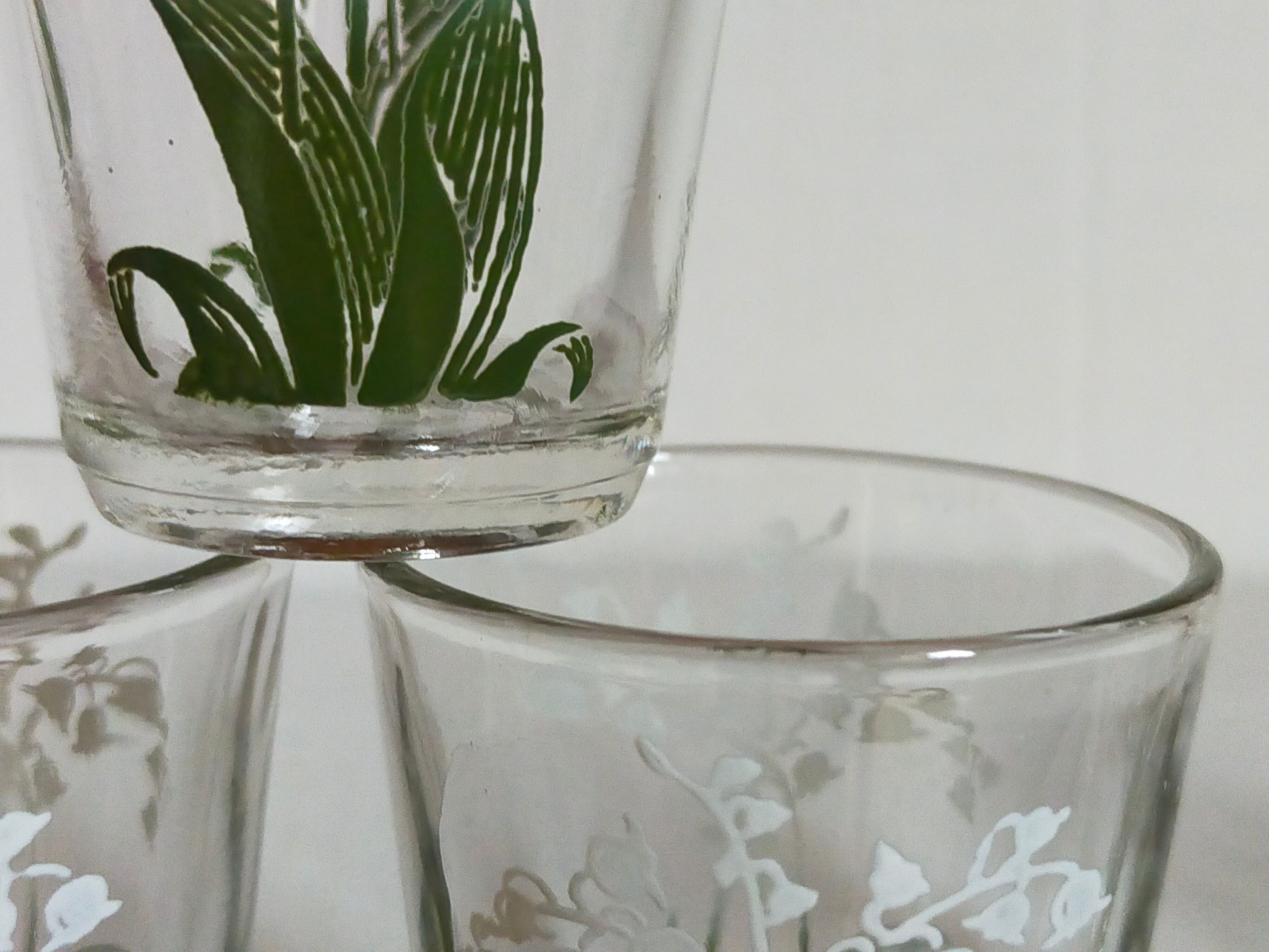 Seven glasses with digestive screen-printed with thrush, 30s