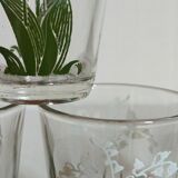Seven glasses with digestive screen-printed with thrush, 30s