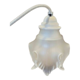 Opaque tulip 5 ridged petals