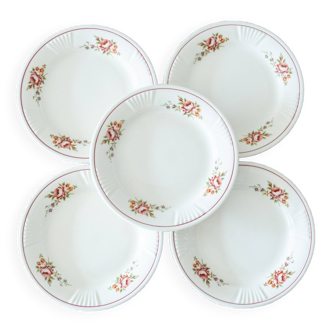 5 vintage floral dessert plates