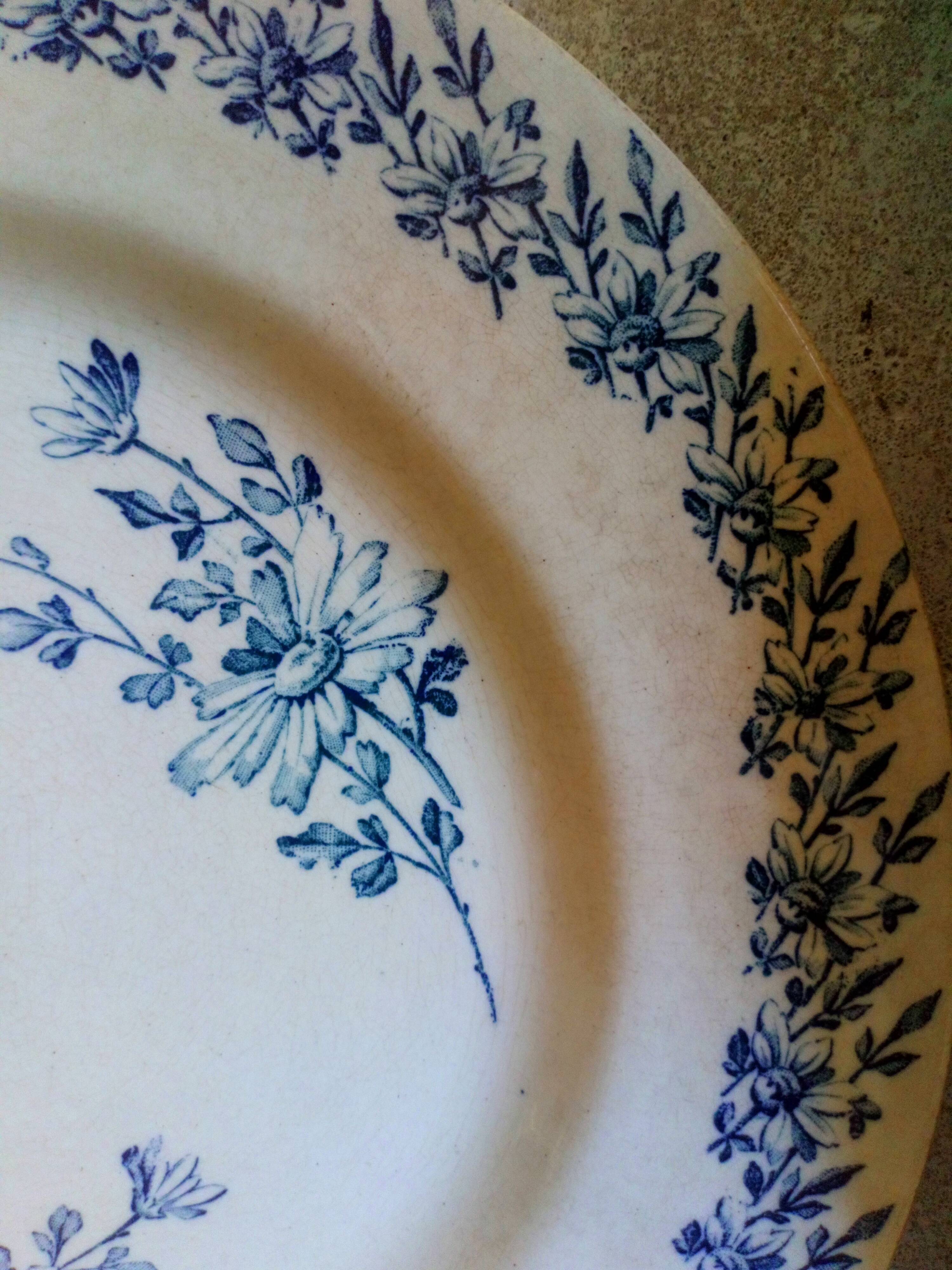 Six old plates made of lednéville iron soil from the "paquerette" sevice