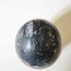 Fossil egg