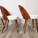 Dining Chairs by Antonin Suman, 1960s, Set of 4