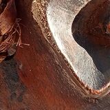 Masque heaume tschokwe